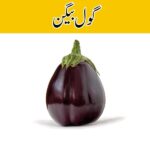 Eggplant Round (Gol Baingan) price in karachi
