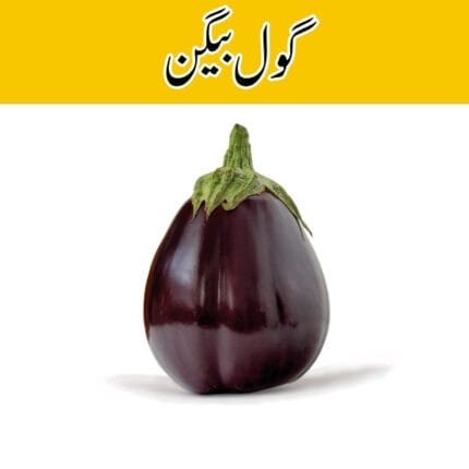 Eggplant Round (Gol Baingan) price in karachi