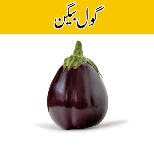 Eggplant Round (Gol Baingan) price in karachi