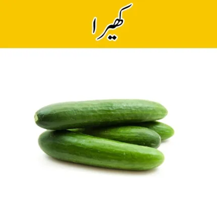 Cucumber (Kheera) price in karachi