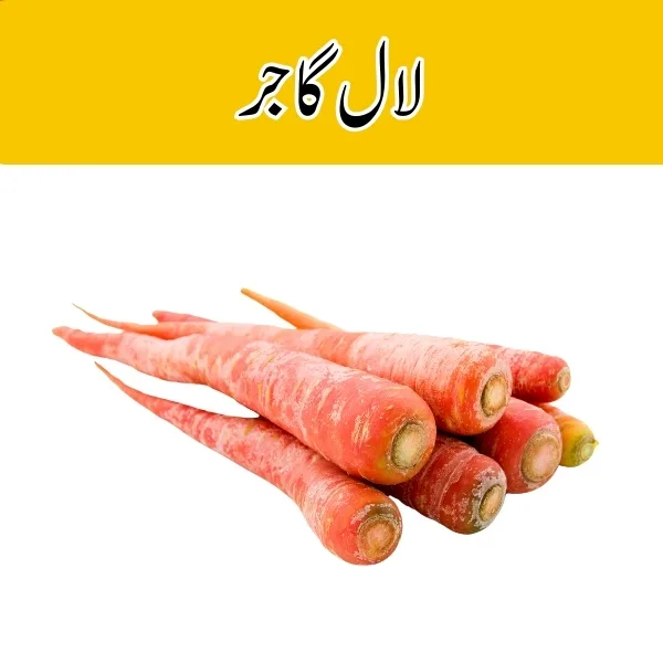 Red Carrot (Laal Gajar)