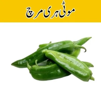 Green Chilli (Hari Mirch Moti) price in karachi