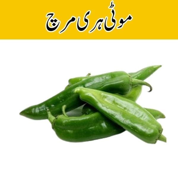 Green Chilli (Hari Mirch Moti) price in karachi