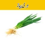 Fresh Spring Onion Hari Pyaz - Manahil Mart