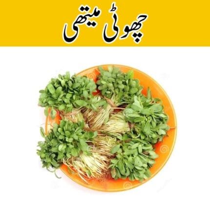 Small Fenugreek (Choti Methi)