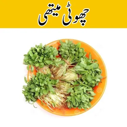 Small Fenugreek (Choti Methi)