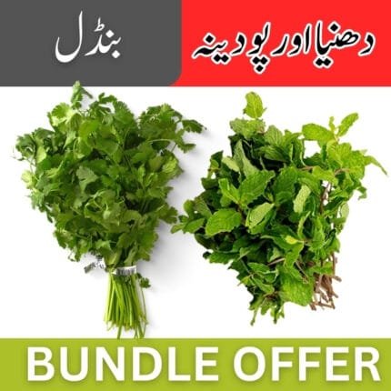 Dhania / Phodina (Bundle)