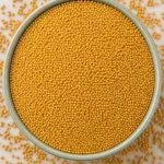 Mustard Seeds Yellow (Peli Sarson)
