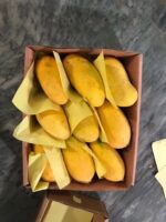 Sindhri Gold Premium Mango Box – 5KG