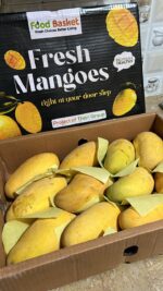 Sindhri Gold Premium Mango Box – 5KG - Image 2